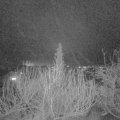 Webcam_20200112-200000