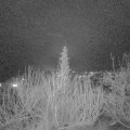 Webcam_20200112-203000