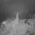 Webcam_20200112-210000