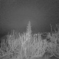 Webcam_20200113-060000
