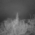 Webcam_20200113-070000