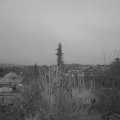 Webcam_20200113-080000