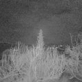 Webcam_20200115-053000