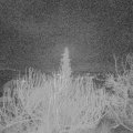 Webcam_20200115-060000