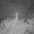 Webcam_20200115-063000