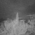 Webcam_20200115-070000
