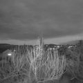 Webcam_20200115-173000