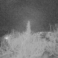 Webcam_20200115-183000