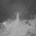 Webcam_20200115-203000