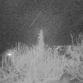 Webcam_20200115-213000