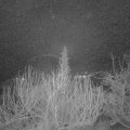 Webcam_20200116-053000