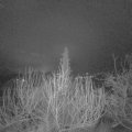 Webcam_20200116-060000