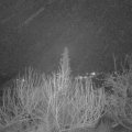 Webcam_20200116-063000