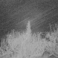 Webcam_20200118-053000