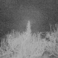 Webcam_20200118-060000