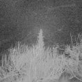 Webcam_20200118-063000