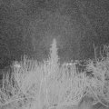 Webcam_20200118-070000