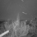 Webcam_20200118-173000
