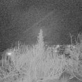 Webcam_20200118-183000