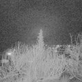 Webcam_20200118-190000