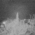 Webcam_20200118-200000