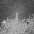 Webcam_20200118-210000