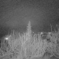 Webcam_20200118-220000