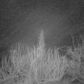 Webcam_20200119-053000