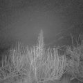 Webcam_20200119-063000
