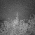 Webcam_20200119-070000