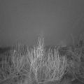 Webcam_20200119-073000