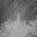 Webcam_20200120-050000