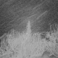 Webcam_20200120-053000