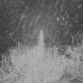 Webcam_20200120-060000