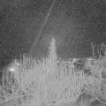 Webcam_20200120-190000