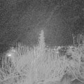 Webcam_20200120-193000