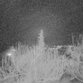 Webcam_20200120-203000