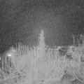 Webcam_20200120-213000