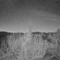 Webcam_20200121-070000