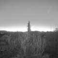 Webcam_20200121-073000