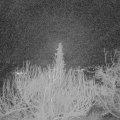 Webcam_20200122-053000