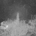 Webcam_20200122-060000