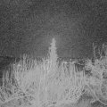 Webcam_20200122-063000