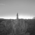 Webcam_20200122-073000