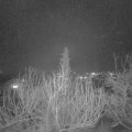 Webcam_20200122-190000