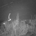 Webcam_20200122-193000