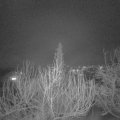 Webcam_20200122-203000
