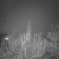 Webcam_20200122-220000