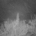 Webcam_20200123-050000