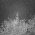 Webcam_20200123-053000